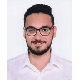 Mohamed Ismail