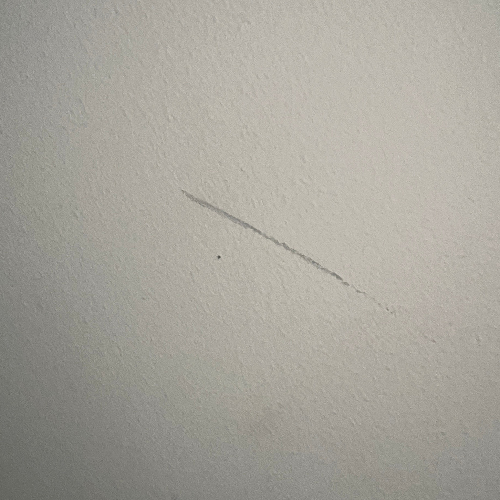 Luis Uhlmann Mechatronik FH Vorarlberg XING