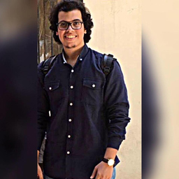 Abdelrahman Mokhtar Abdelaziz Ahmed