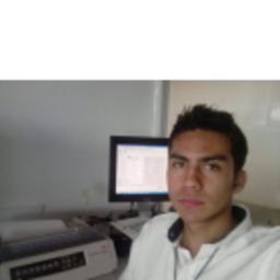 Gustavo Alejandro toral Lopez