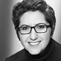 Evrim Erim