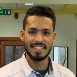Mohamed Hassan's profile picture