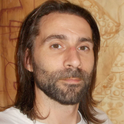 Ludovic Saule