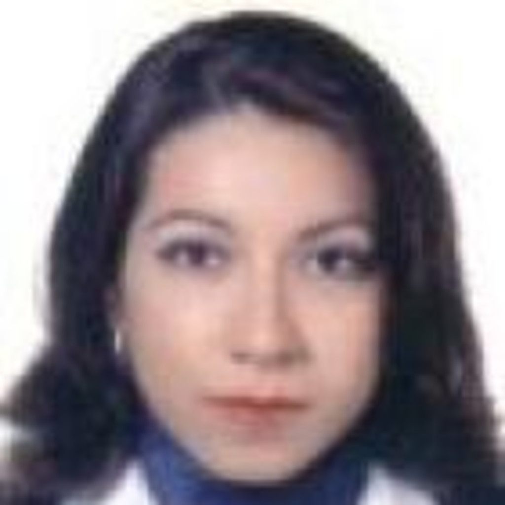 angelica garcia cornejo - Agente de trafico - aviacsa | XING