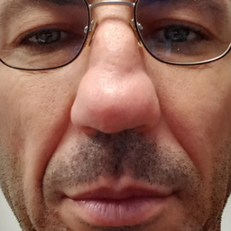 Gianluca Forzin