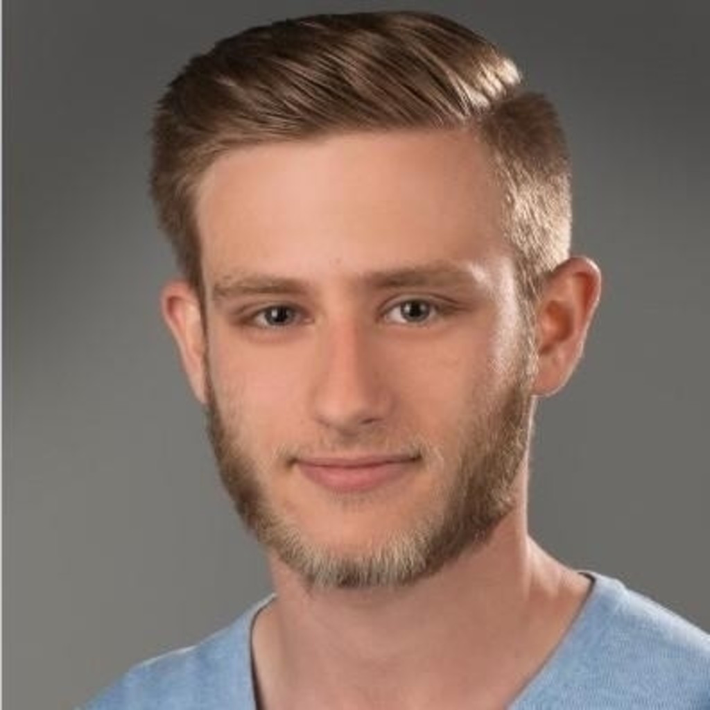 Aleksandar Damnjanovic Pädagogische Arbeit in IONGruppen und ProDeMa