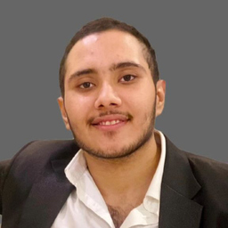 Ali RAZA FAROOQ