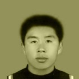 Prof. Dr. 峰 陈