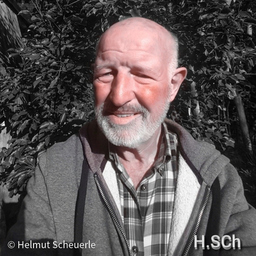 Helmut Scheuerle