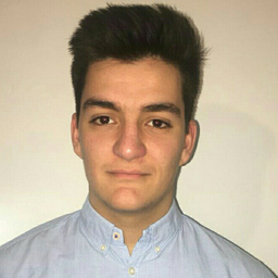 Arian Hoti