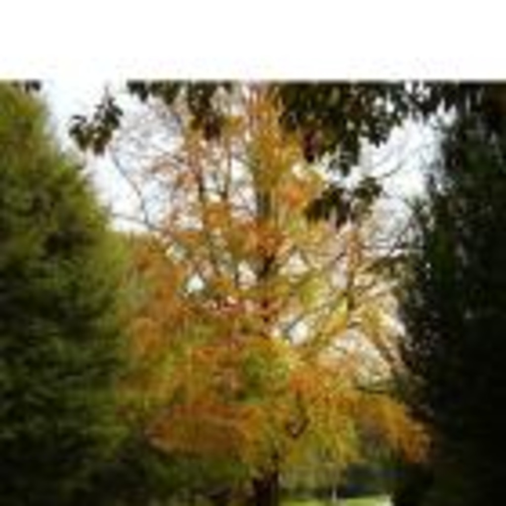 Christian Wengenroth Krankenpfleger Seniorenbetreuung Hand auf ´s