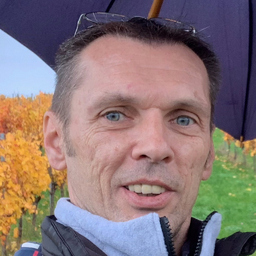 Robert Domic