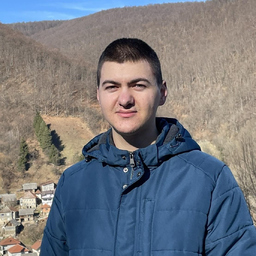 Alem Fejzić