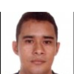 Rene Carlos Paredes Stave