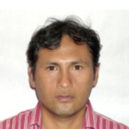 Dr. JULIO FLORES VICUÑA