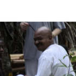 Fayomi Odugbemi