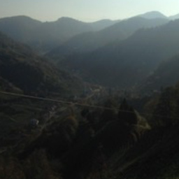 Öznur Godri