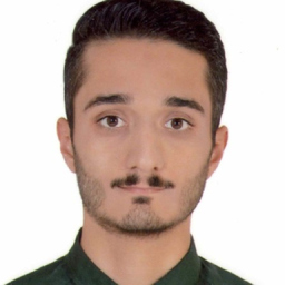 shahab emadi