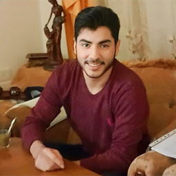 Majd Alaraki