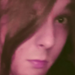 Niklas Müller's profile picture