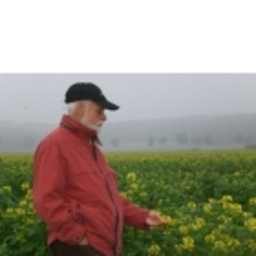 Dieter Beenen