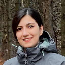Hanieh Jebeli