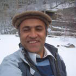 Sadruddin Ali