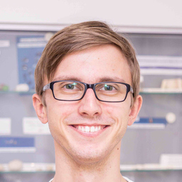 Gerrit Wüstefeld