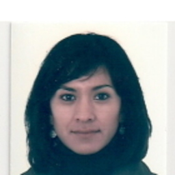 Liseth Mendoza Enríquez