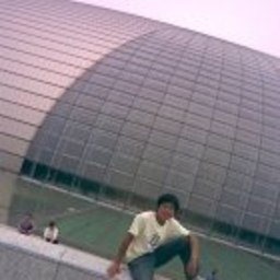 金杰 牛