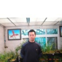 勇 杨