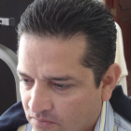 Javier Estrada Ortiz