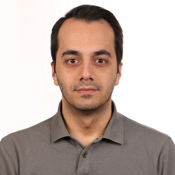 Hamed Ansarian