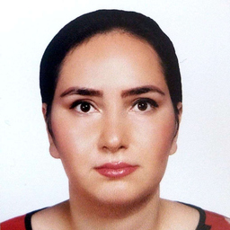 Seyedehmina Mojabi