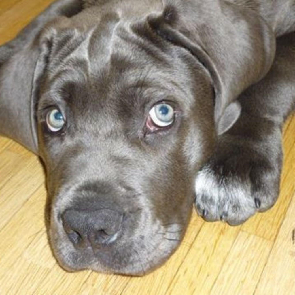 Oliver Chilian Selbstständig Personaltrainer, Ernährungsberater XING