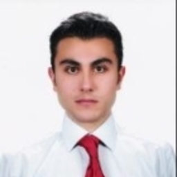 Mete Ergin