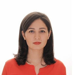 Parisa Heidari