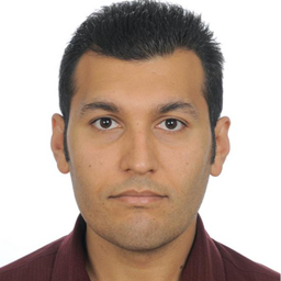 Hamed Safikhani