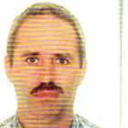 Dumitru Brunescu