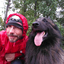 user profile image