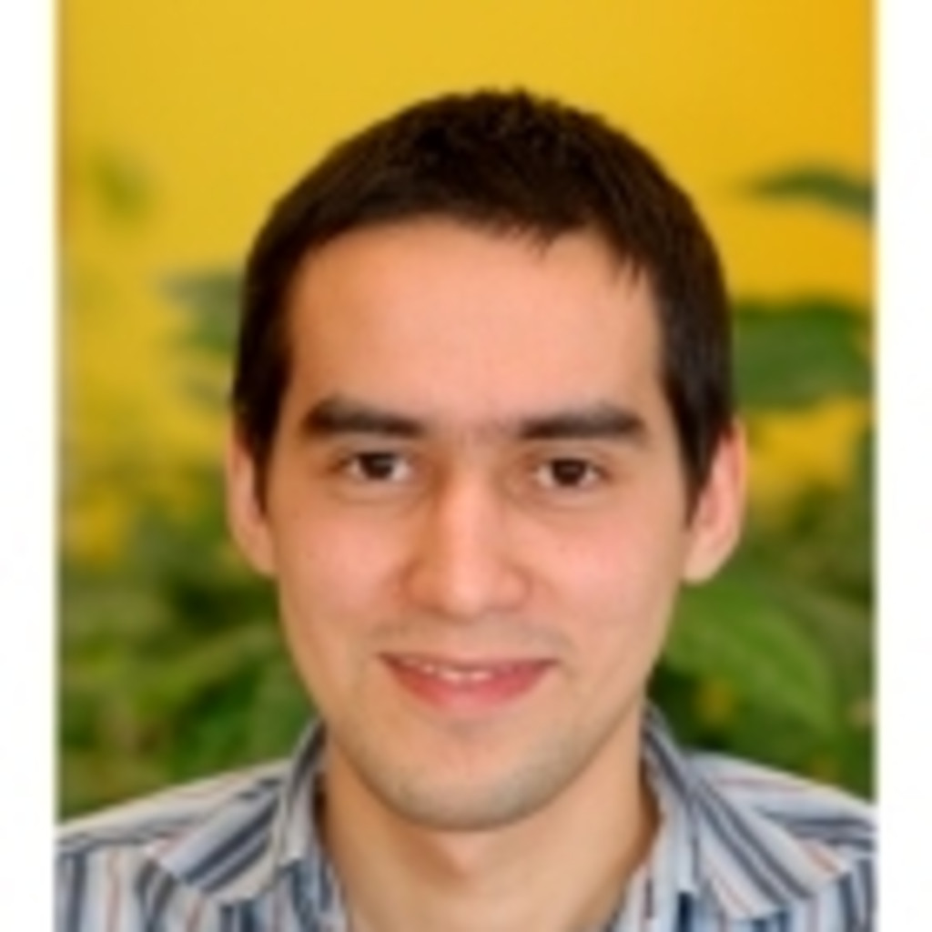 Luis Barragan JEE Software Developer Logica XING