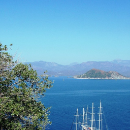 Gülgün Kaya