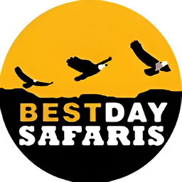 Bestday Safaris