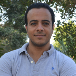 Mohamed Farag