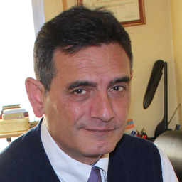 JOSE CARLOS CASTELLS ORTELLS
