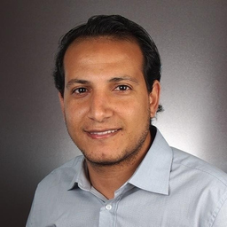 Sameh Hamdalla