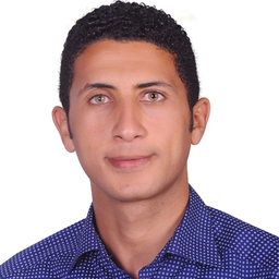 Walid Said