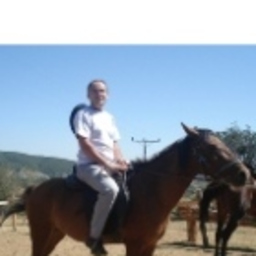 Yiğit Ergin