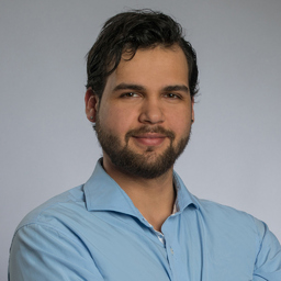 Hector Stein Diaz