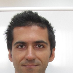 Daniel Lupascu